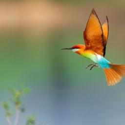 如何正確進(jìn)行美容護(hù)膚全套步驟方法及操作注意事項(xiàng)？