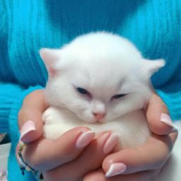 備孕期間可以進(jìn)行<strong>美容</strong>護(hù)膚嗎？如何安全進(jìn)行<strong>美容</strong>護(hù)膚？